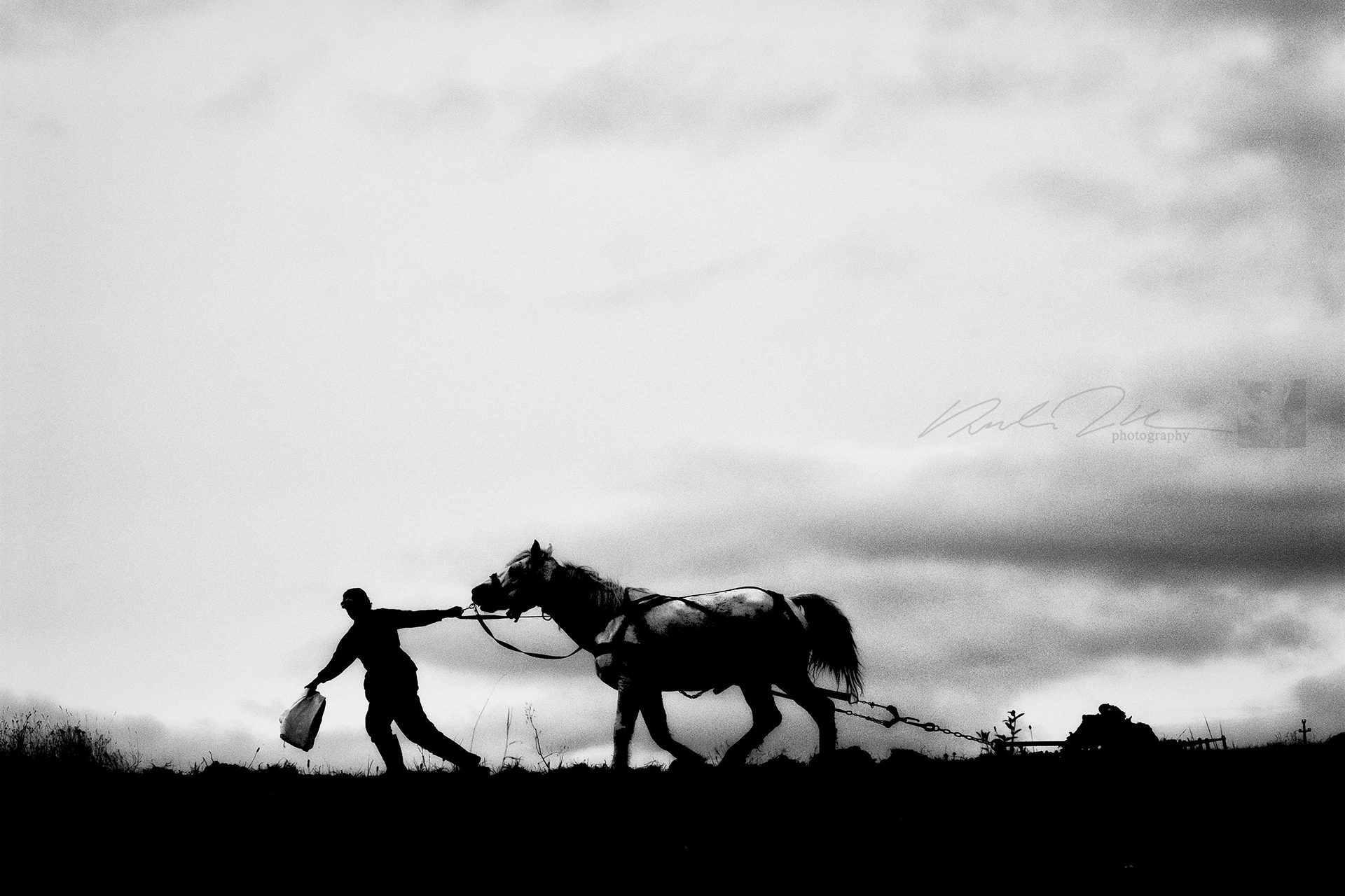 Kerekes István (14)